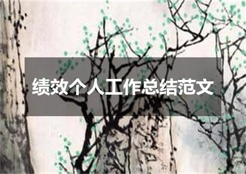 绩效个人工作总结范文