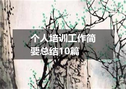 个人培训工作简要总结10篇
