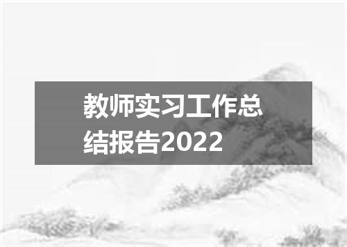 教师实习工作总结报告2022