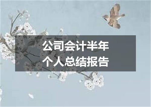 公司会计半年个人总结报告