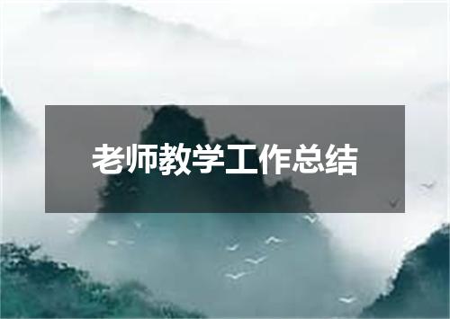 老师教学工作总结