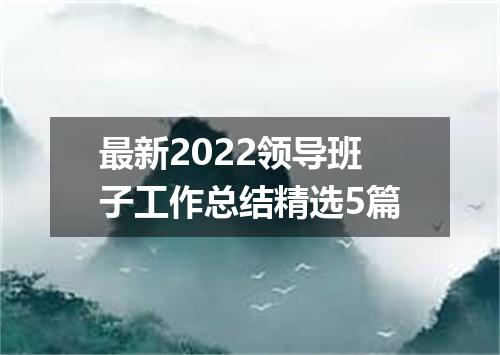 最新2022领导班子工作总结精选5篇