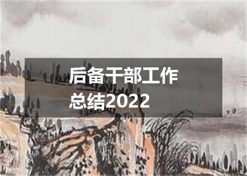 后备干部工作总结2022