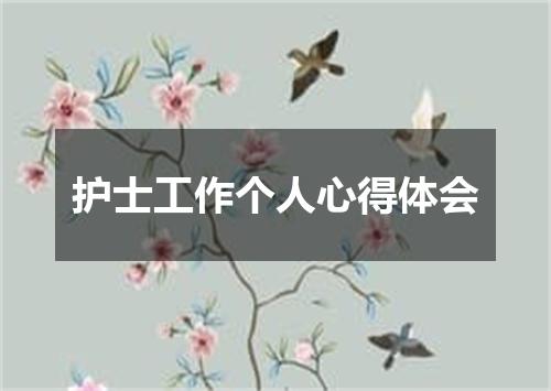 护士工作个人心得体会