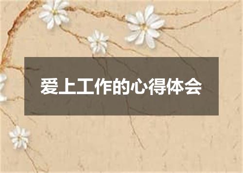 爱上工作的心得体会