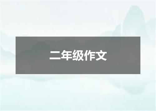 二年级作文