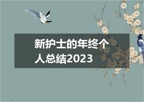 新护士的年终个人总结2023