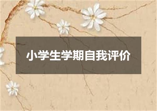 小学生学期自我评价