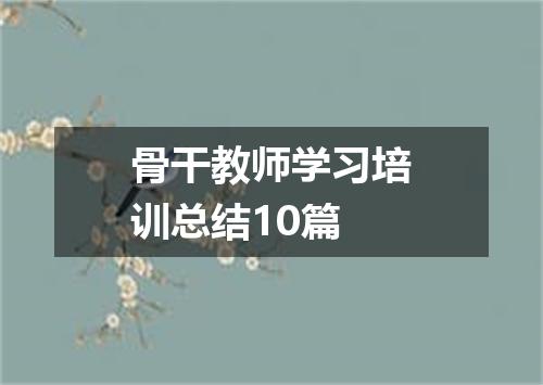 骨干教师学习培训总结10篇
