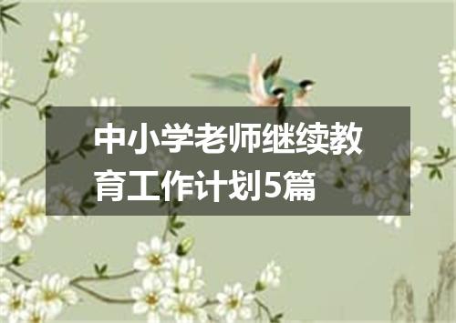 中小学老师继续教育工作计划5篇