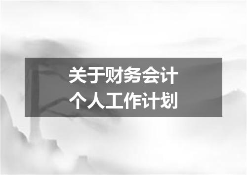 关于财务会计个人工作计划