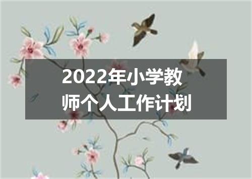 2022年小学教师个人工作计划