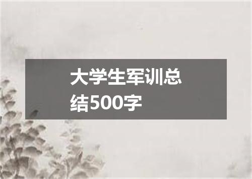 大学生军训总结500字