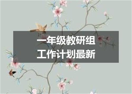 一年级教研组工作计划最新