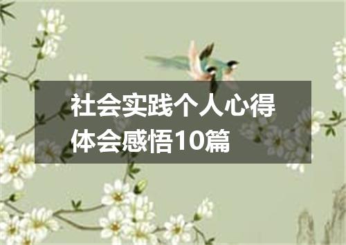 社会实践个人心得体会感悟10篇
