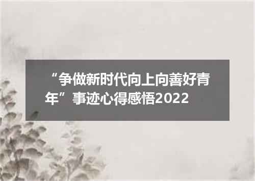 “争做新时代向上向善好青年”事迹心得感悟2022