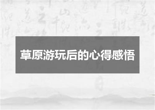 草原游玩后的心得感悟