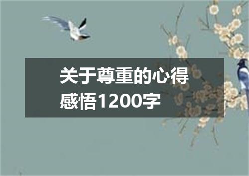 关于尊重的心得感悟1200字
