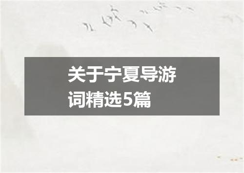 关于宁夏导游词精选5篇