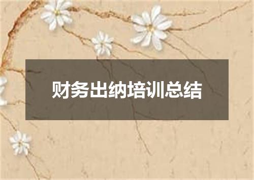 财务出纳培训总结