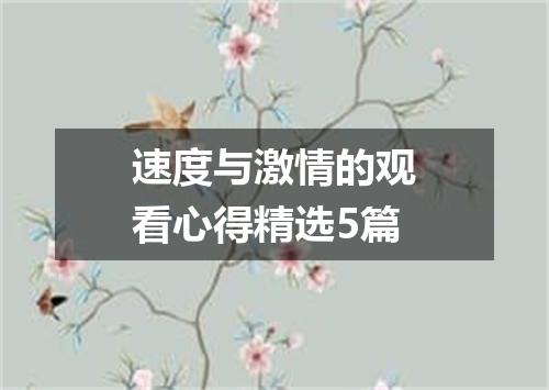 速度与激情的观看心得精选5篇