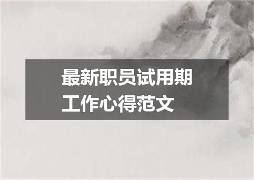 最新职员试用期工作心得范文