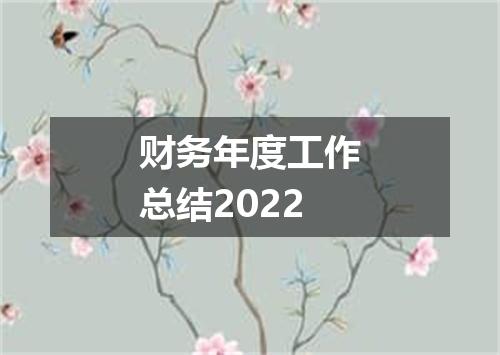 财务年度工作总结2022