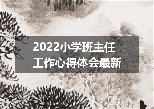 2022小学班主任工作心得体会最新