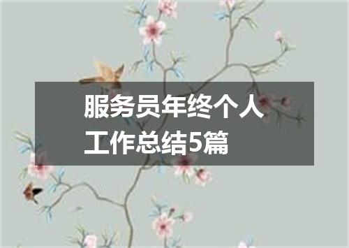 服务员年终个人工作总结5篇