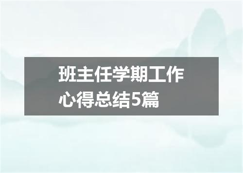 班主任学期工作心得总结5篇