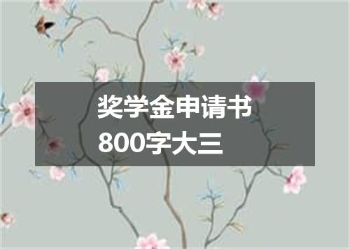 奖学金申请书800字大三