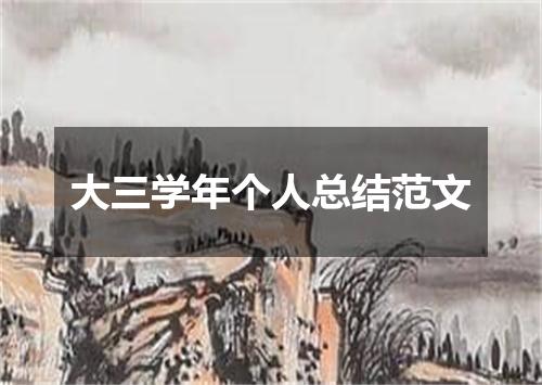 大三学年个人总结范文