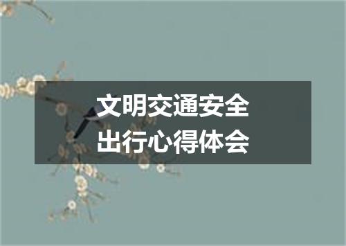 文明交通安全出行心得体会