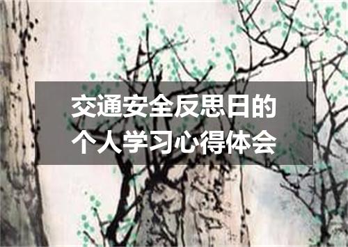 交通安全反思日的个人学习心得体会