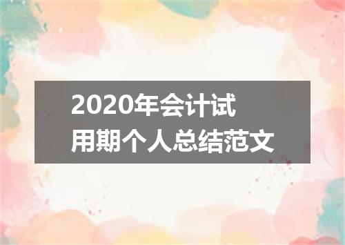 2020年会计试用期个人总结范文