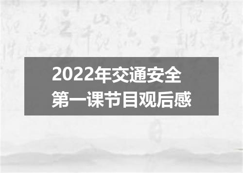 2022年交通安全第一课节目观后感