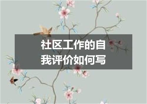 社区工作的自我评价如何写