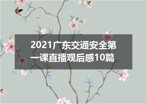 2021广东交通安全第一课直播观后感10篇
