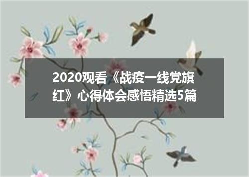 2020观看《战疫一线党旗红》心得体会感悟精选5篇