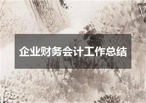 企业财务会计工作总结