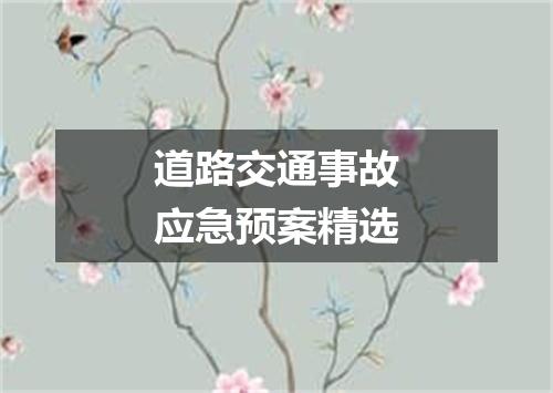 道路交通事故应急预案精选
