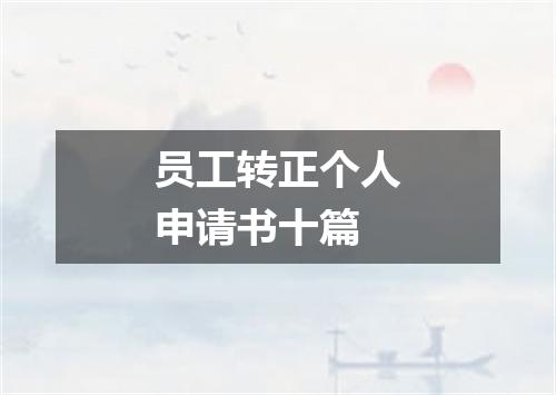 员工转正个人申请书十篇
