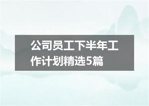 公司员工下半年工作计划精选5篇