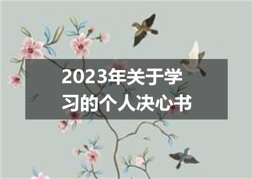 2023年关于学习的个人决心书