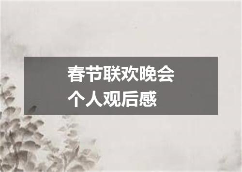 春节联欢晚会个人观后感