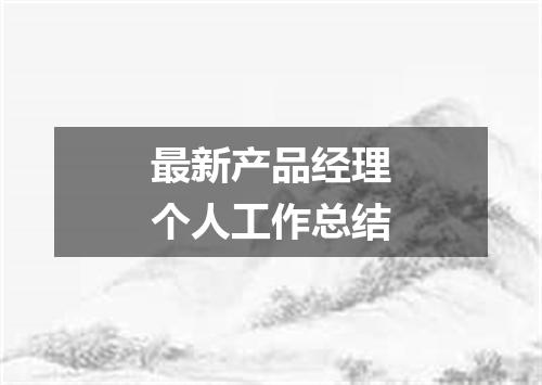 最新产品经理个人工作总结