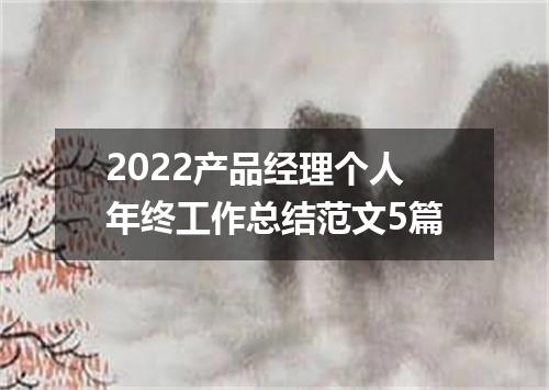 2022产品经理个人年终工作总结范文5篇