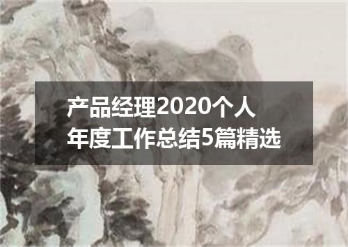 产品经理2020个人年度工作总结5篇精选
