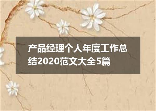 产品经理个人年度工作总结2020范文大全5篇