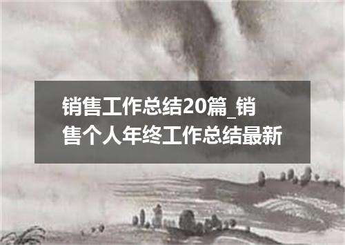 销售工作总结20篇_销售个人年终工作总结最新